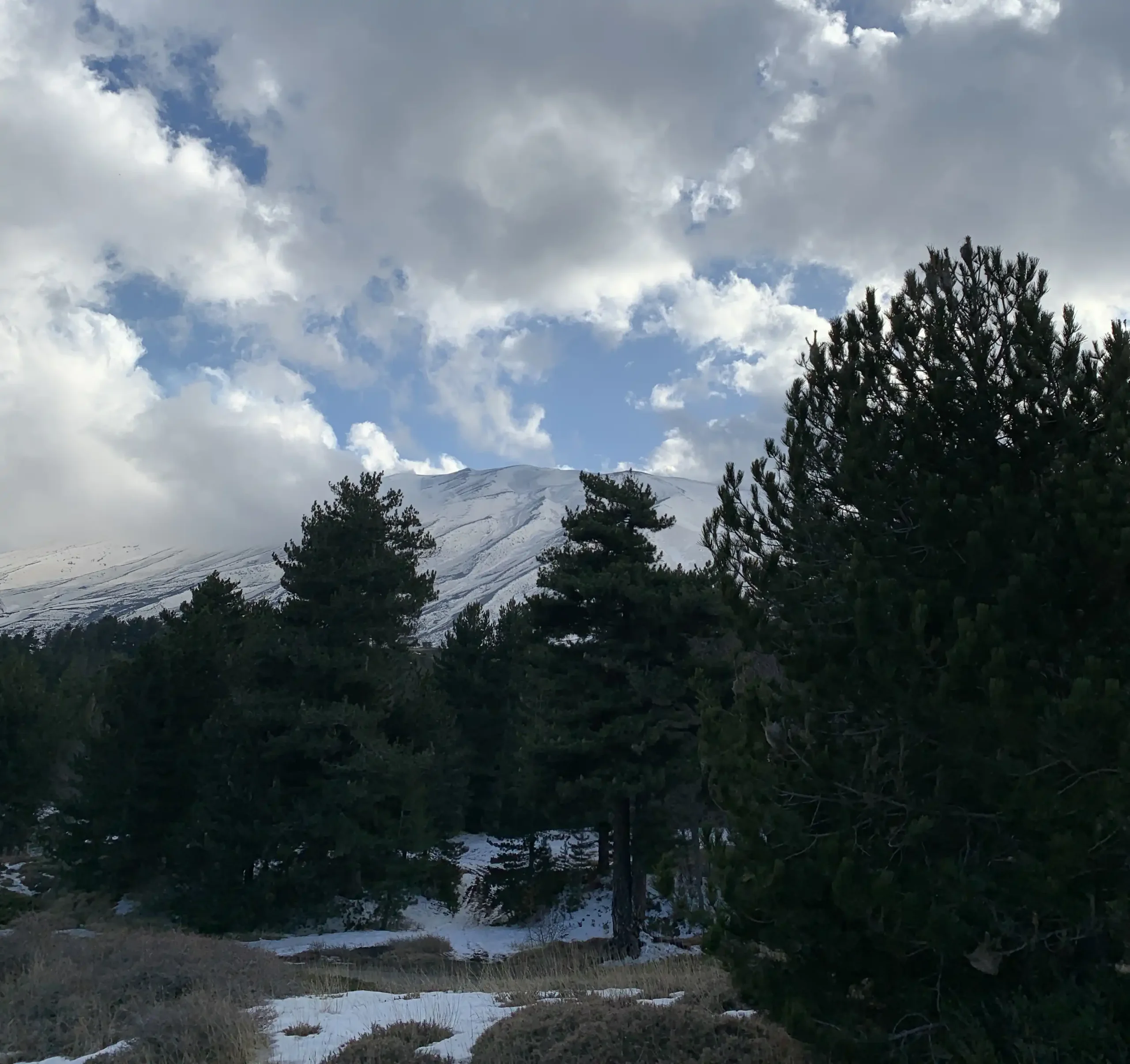 Paysage enneigé à Etna Nord, Piano Provenzana