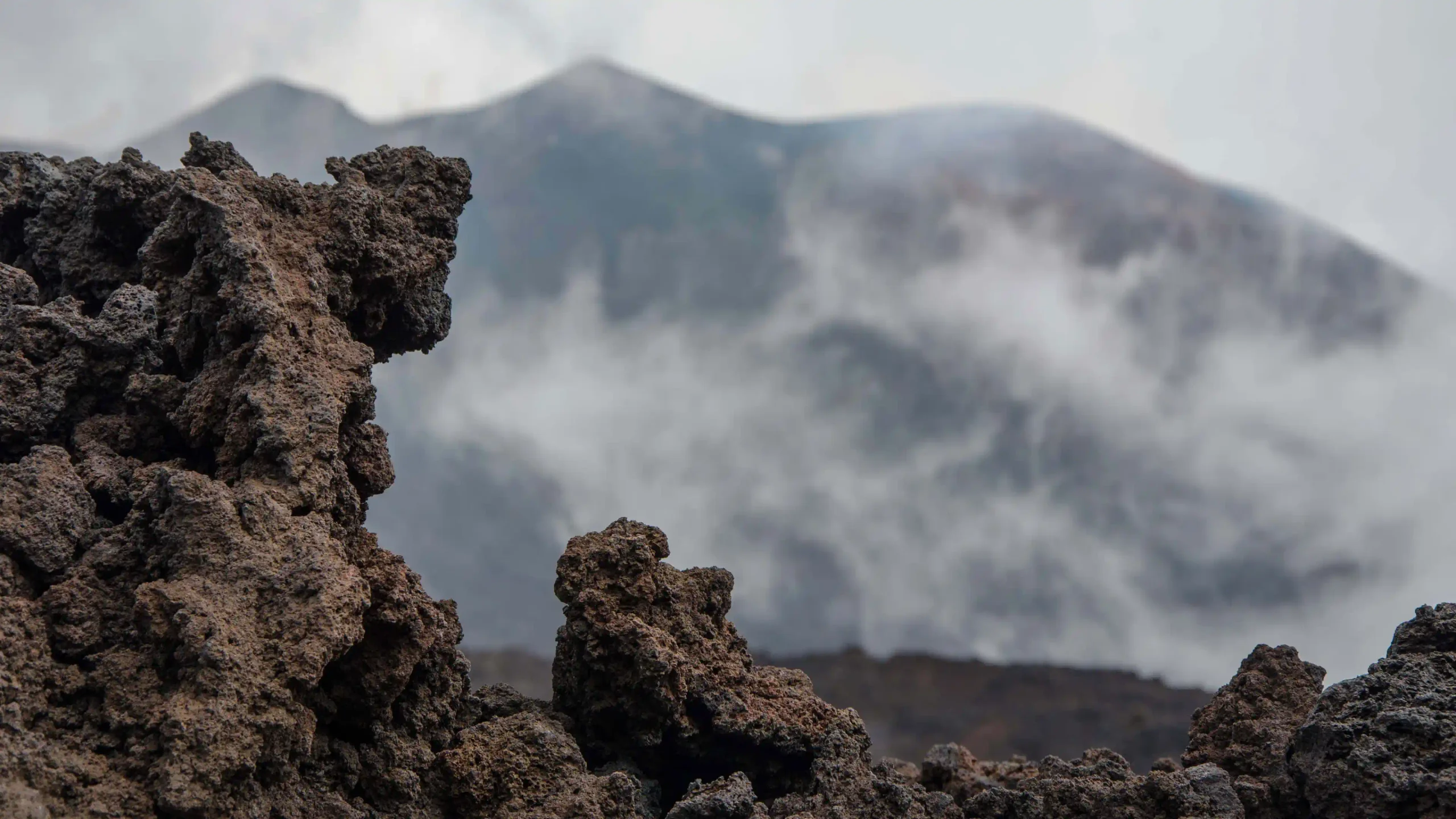 Détail de roche volcanique à Etna Nord