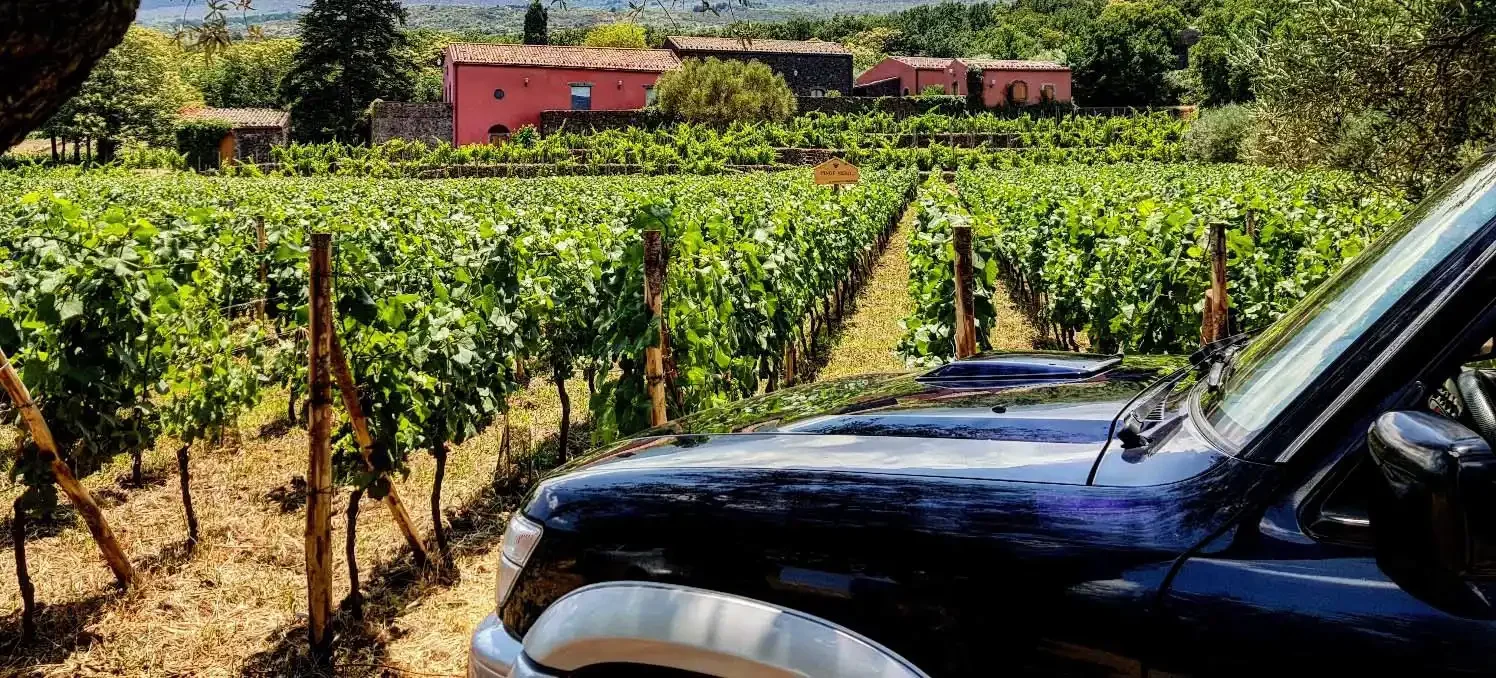 Excursions Etna Nord - Tour Privé Etna Jeep 4x4 avec Dégustation de Vins