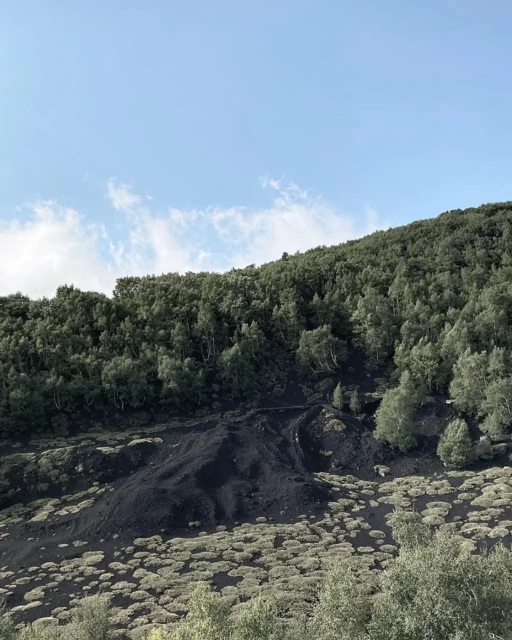 Coulée de lave dans la zone de Serracozzo sur l'Etna